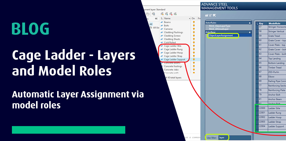 Cage Ladders – Layers and Model Roles