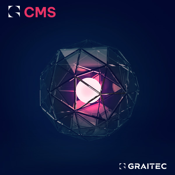 CMS Standard by Strucsoft