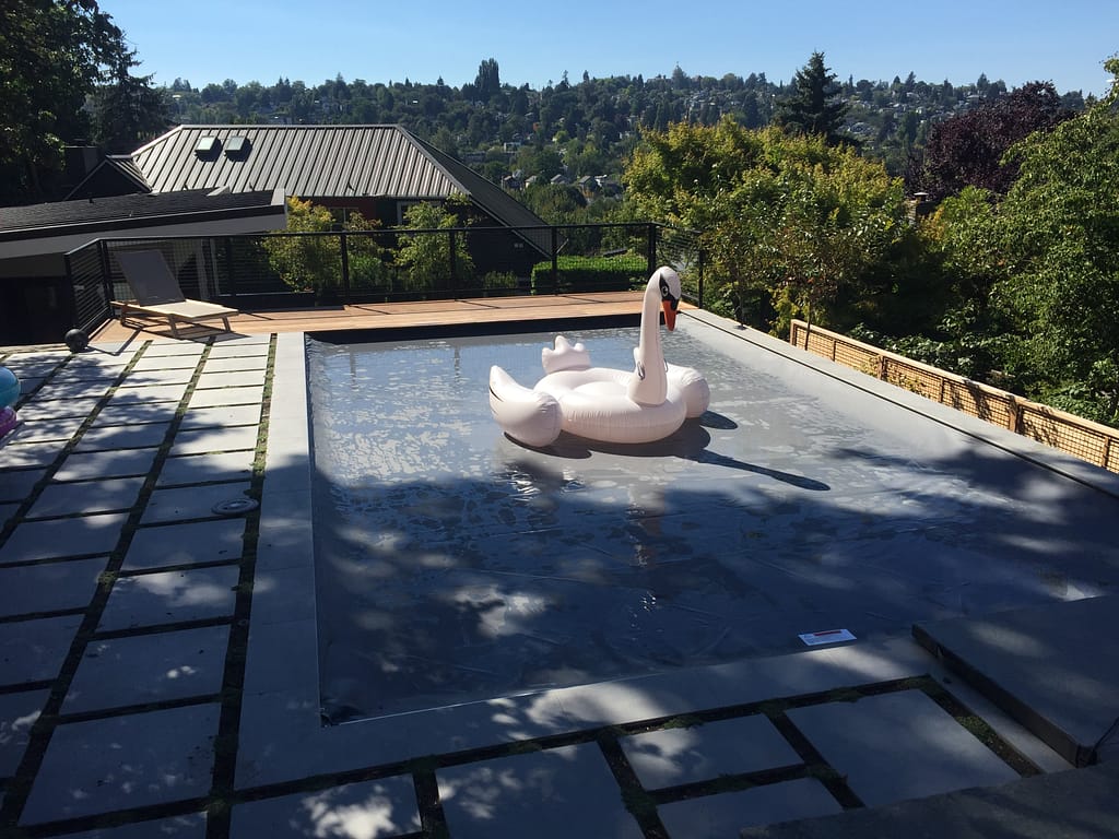 Finished Pool with Swan Floaty